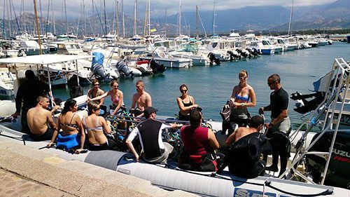 Corse camping